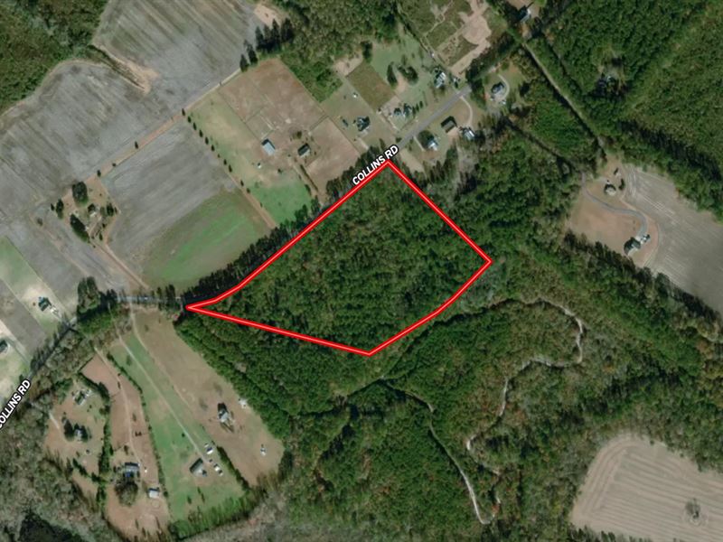 18.5 Acres of Tim : Whaleyville : Suffolk County : Virginia