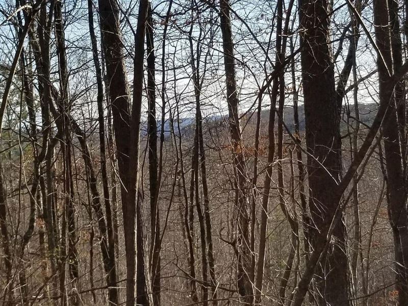 65 Acres of Great Recreational : Palmer : Marion County : Tennessee
