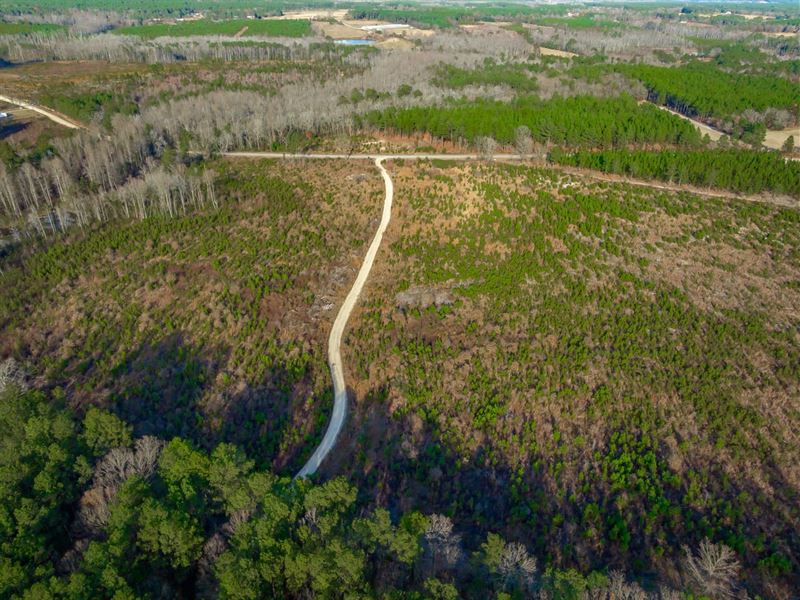 Almond Tract Cnc 6697 : Patrick : Darlington County : South Carolina