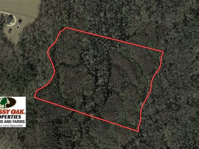 20 Acres of Hunt Ranch for Sale in Fairmont, Robeson County, North