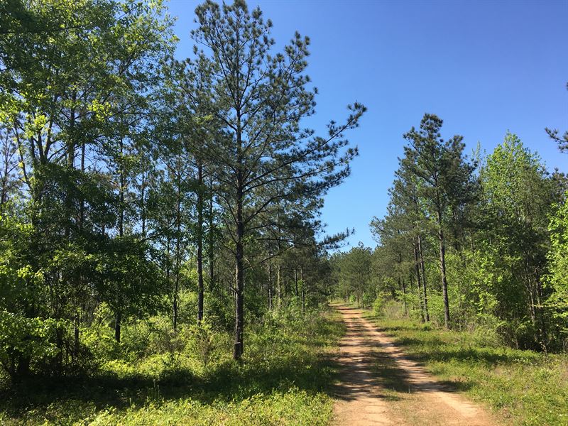 1179 Acres, Will Divide : Springville : Jefferson County : Alabama