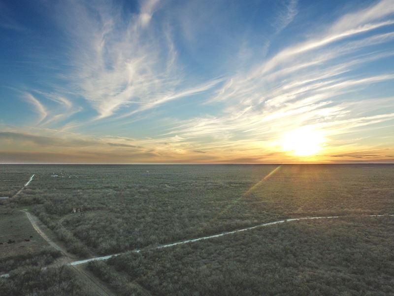 Saenz Ranch : San Diego : Duval County : Texas