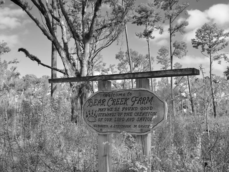 Bear Creek Farm : Quincy : Gadsden County : Florida