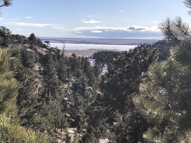 Tract 28 Deadman's Basin : Shawmut : Wheatland County : Montana