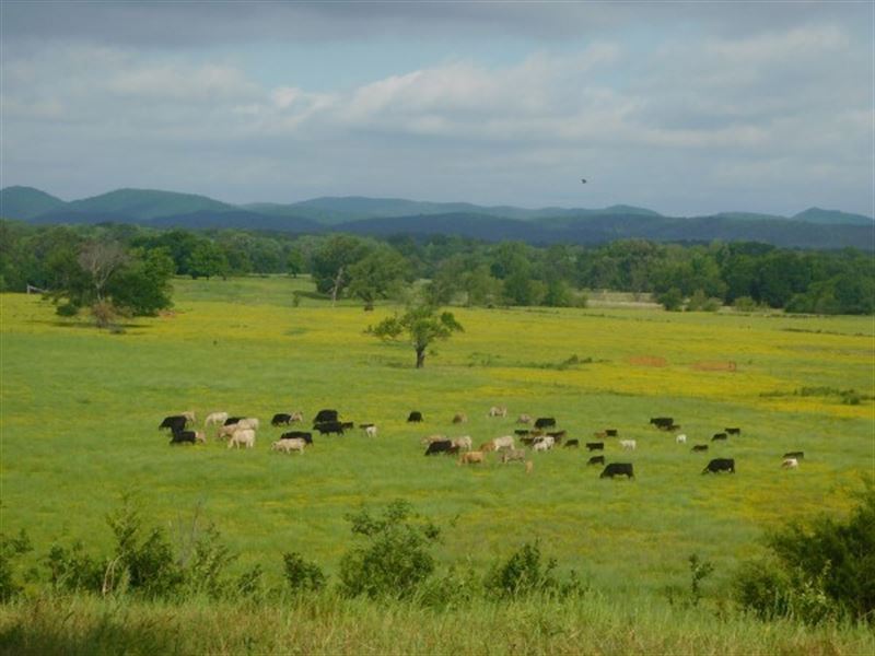 Oklahoma Mountain Valley Ranch : Talihina : Pushmataha County : Oklahoma