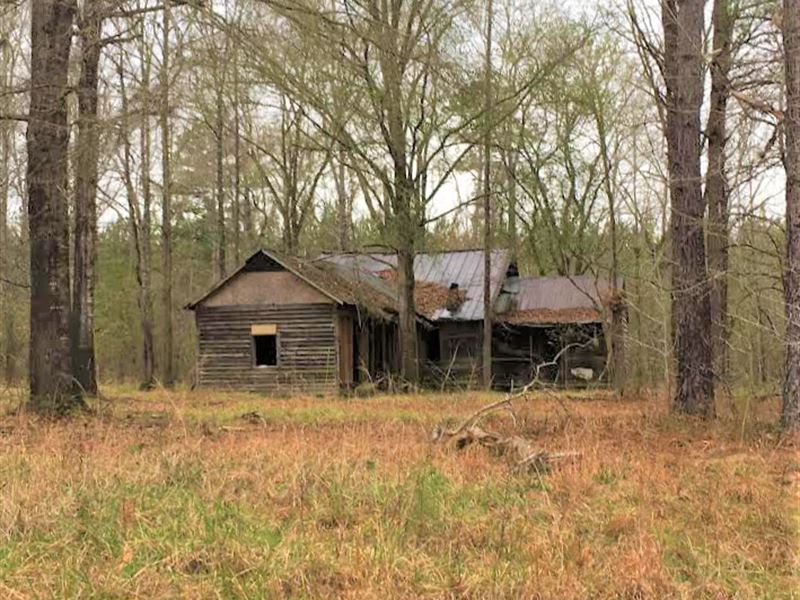 Spring Lake Road, River Tract : Sandersville : Washington County : Georgia