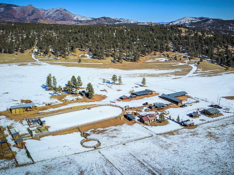 Mule Creek Outfitters Guest Ranch : Lake George : Park County : Colorado