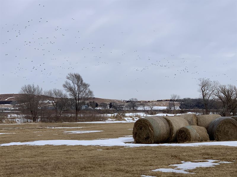 Burwell Waterfowl Meadow Ranch for Sale in Burwell, Garfield County