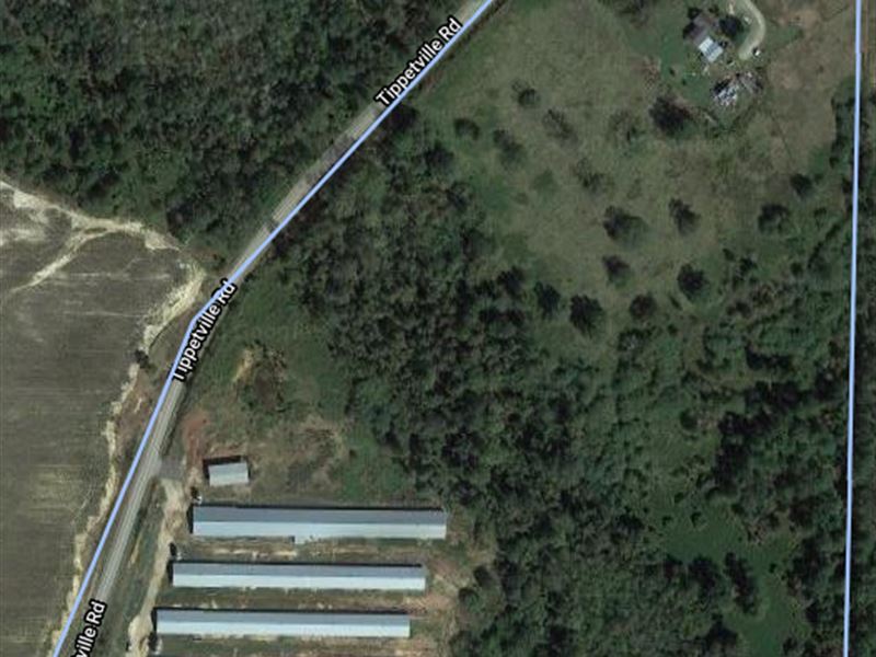 6 Chicken House Farm, Pineview GA : Pineview : Pulaski County : Georgia