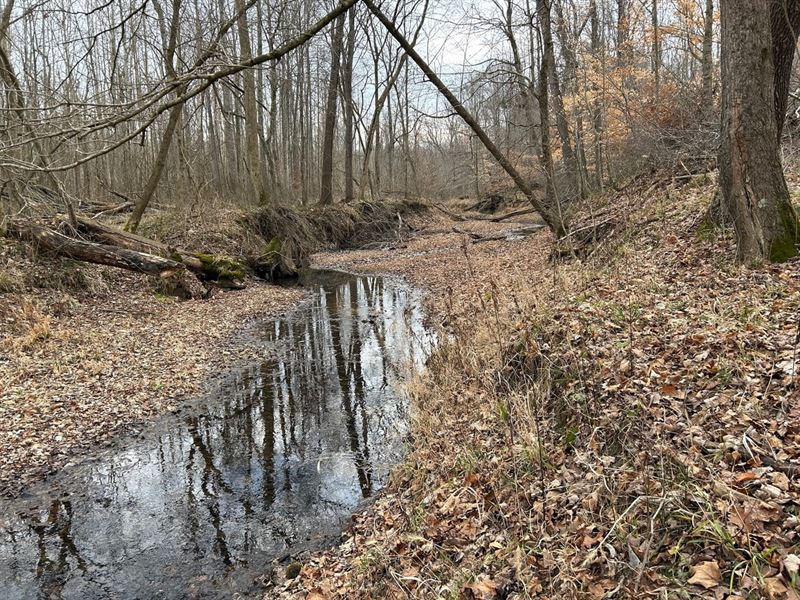 Land for Sale in Putnam County : Center Point : Putnam County : Indiana