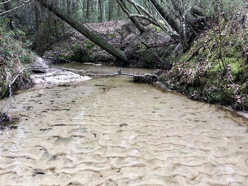Acreage on Patsaliga River : Dozier : Covington County : Alabama