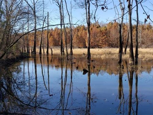 250+ Ag Land TN River Bottom. Nat : Shiloh : Hardin County : Tennessee