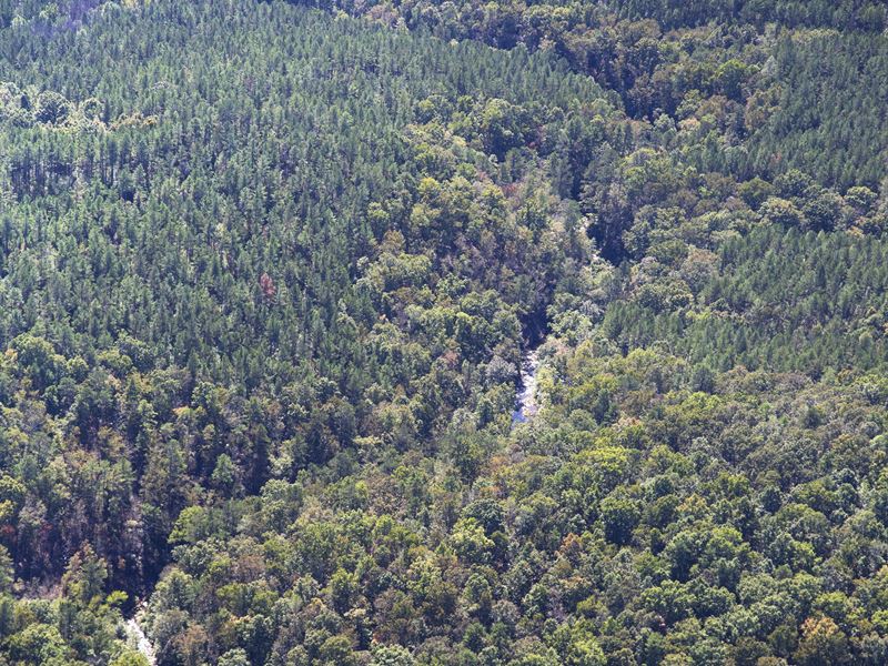 Hurricane Creek : Douglasville : Douglas County : Georgia