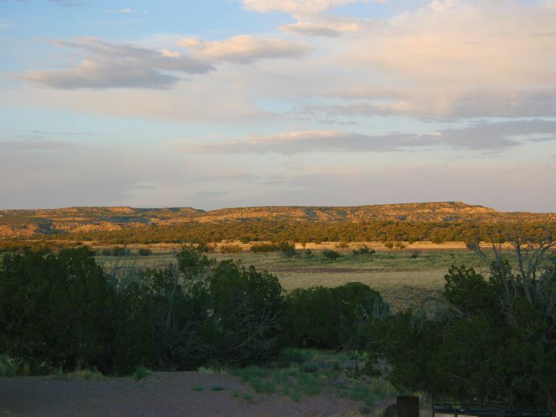 81 Acre Wilderness Ranch with Home, Ranch for Sale in Arizona, 230370