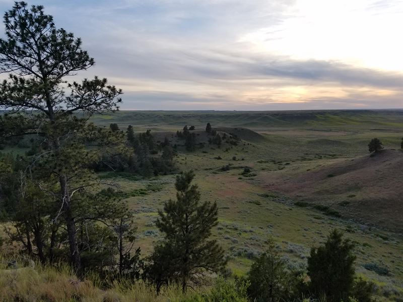 Rosebud County Acreage, Ranch for Sale in Montana, 230424 RANCHFLIP