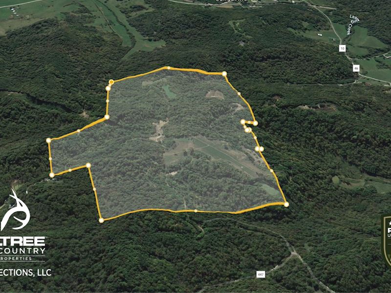 165 Acres Managed Hunting Land : Rutland : Meigs County : Ohio