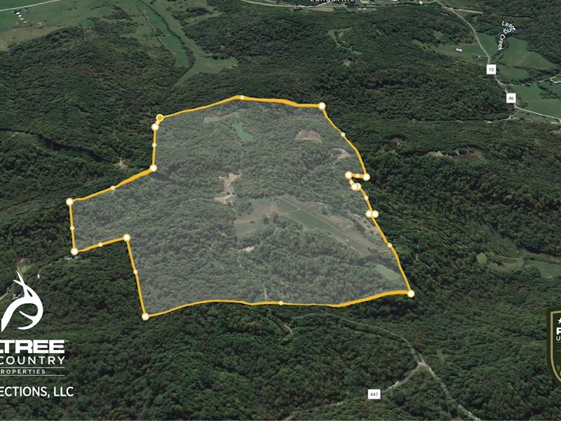 165 Acres Managed Hunting Land, Ranch for Sale in Ohio, 230500 RANCHFLIP