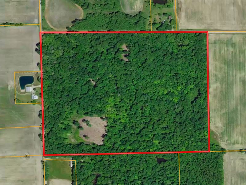 47 Acres / Dekalb County / Hunt : Waterloo : Dekalb County : Indiana