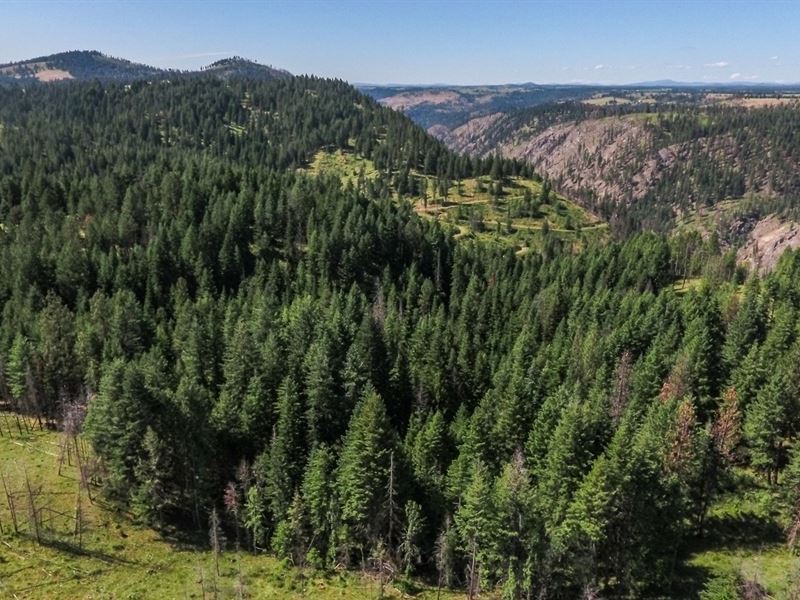 Farm & Ranch Land Kamiah, Idaho : Kamiah : Idaho County : Idaho