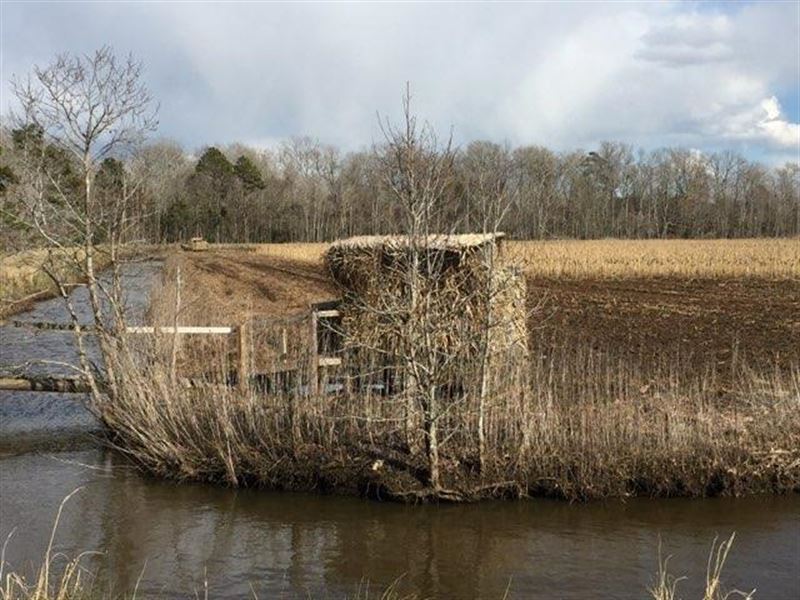 Waterfowl Impoundments / Farm Land, Ranch for Sale in North Carolina