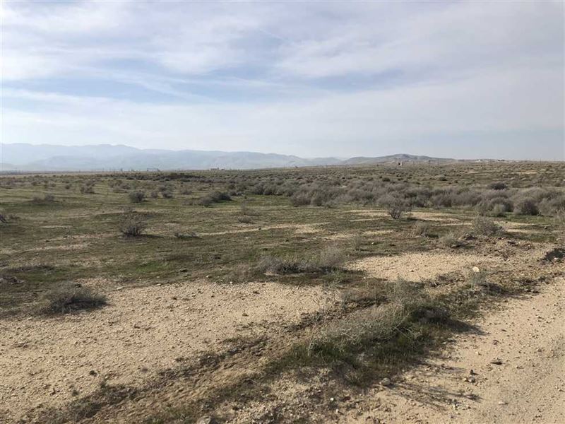 90 Acres Rural Land in Kern County, Ranch for Sale in California