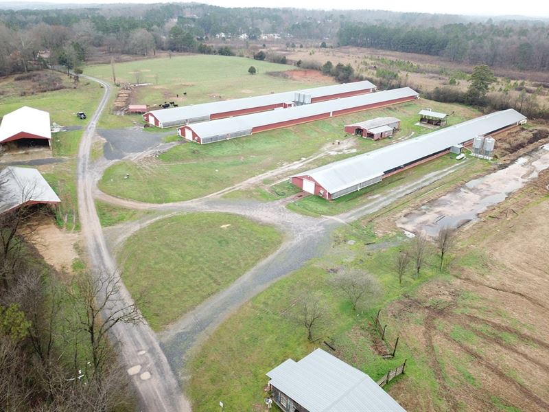 North Spring Creek Farm : Chatsworth : Murray County : Georgia