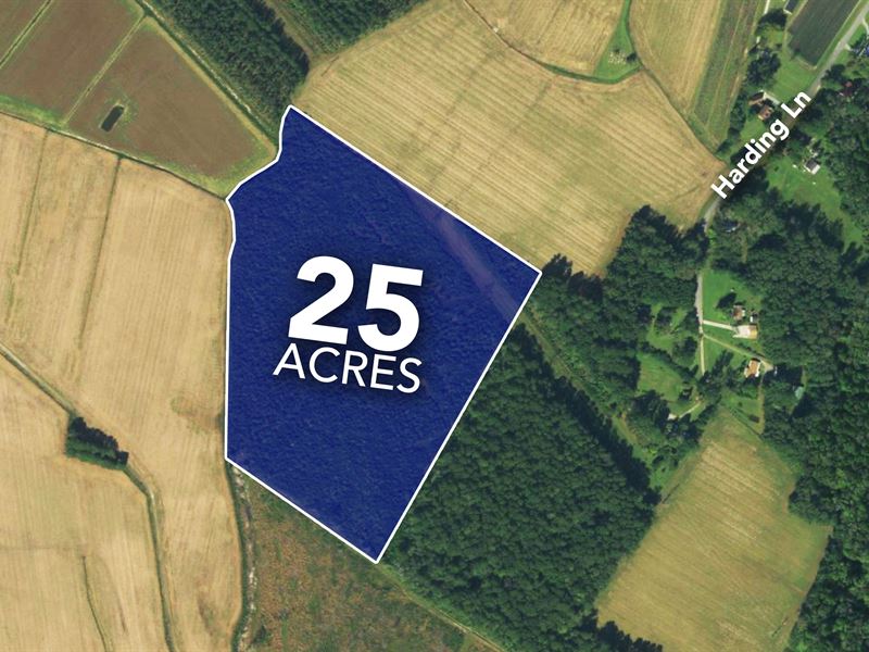 Large 25 Acre Parcel : Chocowinity : Beaufort County : North Carolina