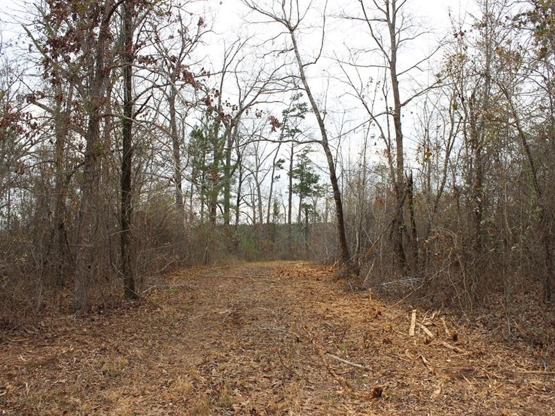 Affordable Hunting or Homesite : Jeffersonville : Twiggs County : Georgia