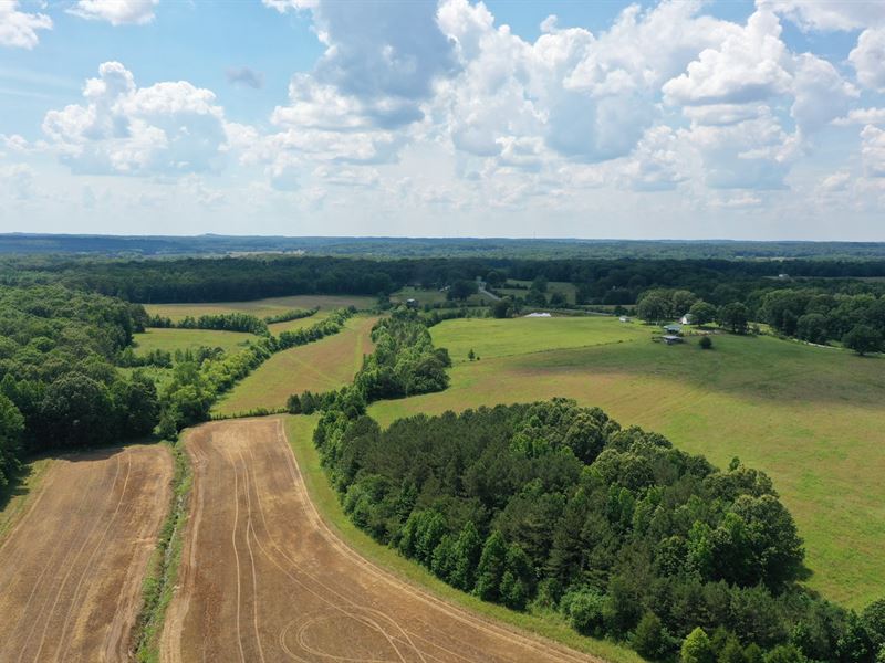 West Tennessee Farm for Sale : Sardis : Henderson County : Tennessee