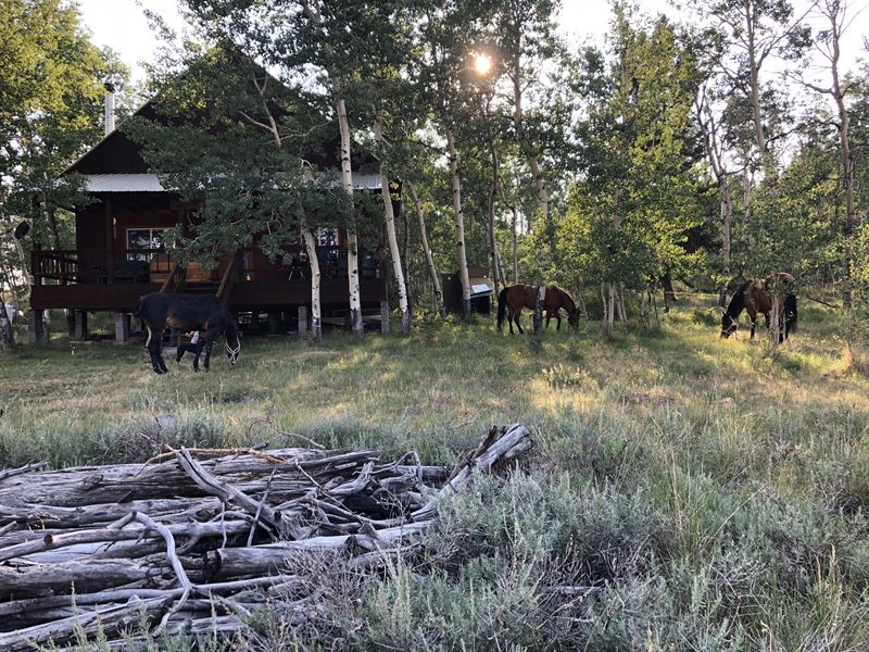 Franz Hunting Cabin : Gunnison : Saguache County : Colorado