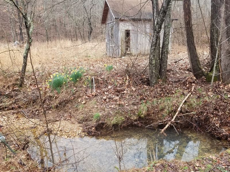 64 Acre Lutts TN Creek Spring Well, Ranch for Sale in Tennessee