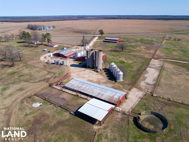 Cross Arrow Ranch : Bogata : Red River County : Texas