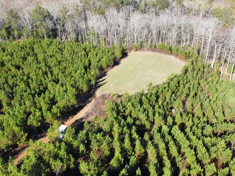 Arches 7981 : Winfield : Marion County : Alabama