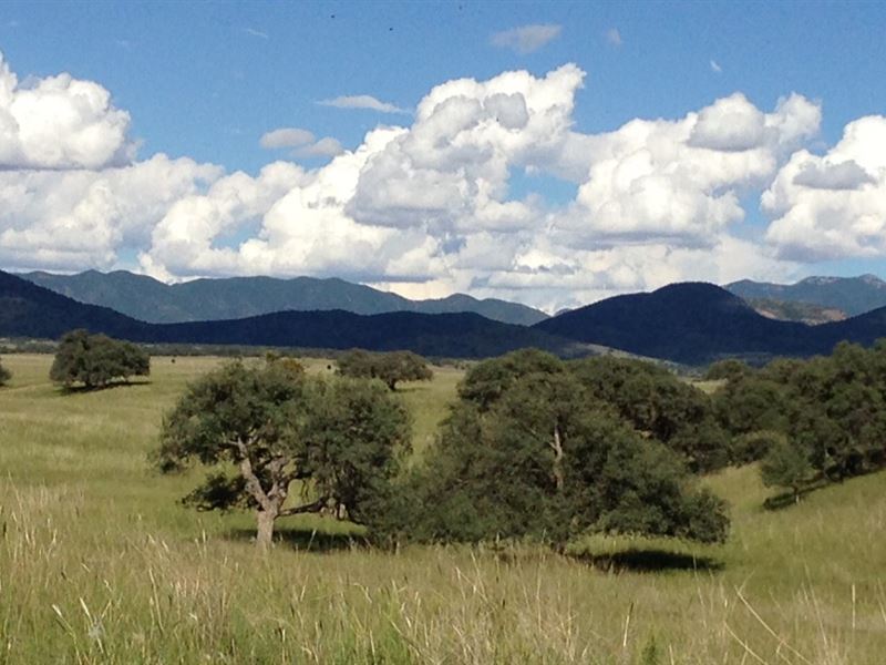 Lazy J2 Ranch Estates : Patagonia : Santa Cruz County : Arizona