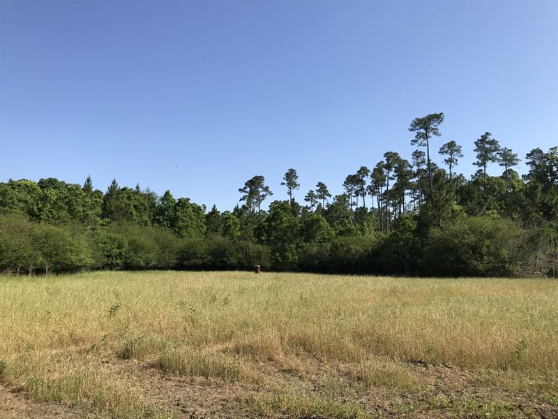 Hicks Tract : Mc David : Escambia County : Florida