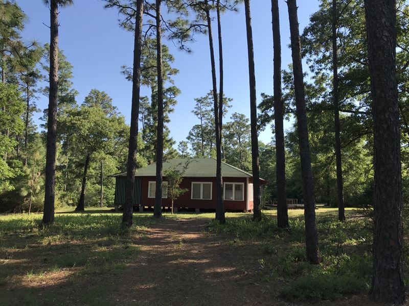 Horne Tract : Mc David : Escambia County : Florida