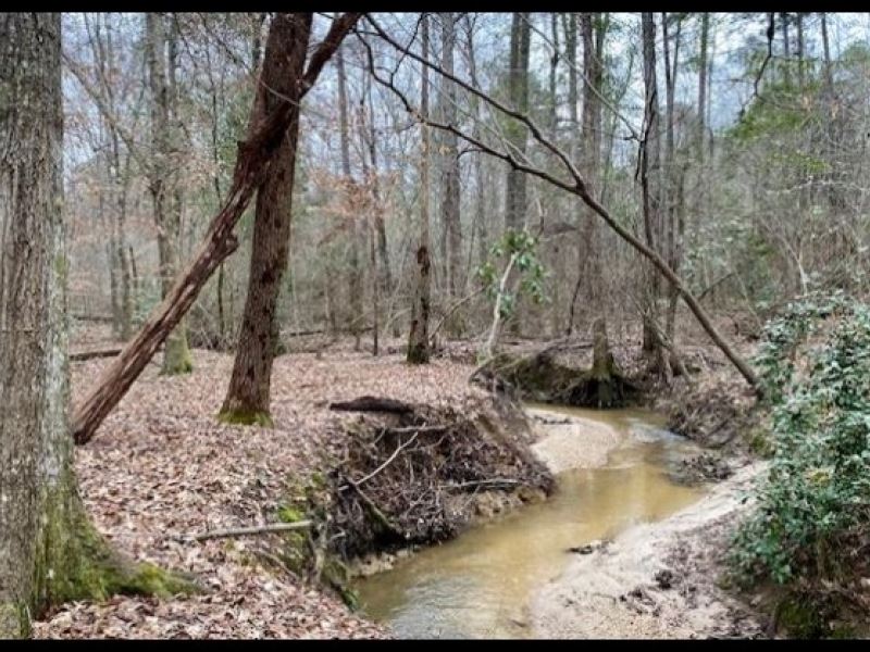 39.5 Acres in Simpson County in Men : Mendenhall : Simpson County : Mississippi
