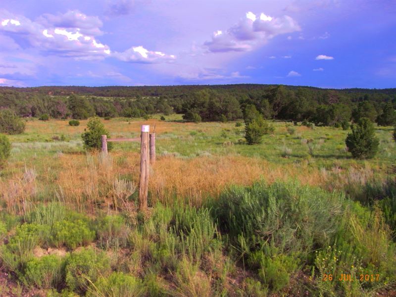 Candy Kitchen NM Panoramic Views, Ranch for Sale by Owner in New Mexico