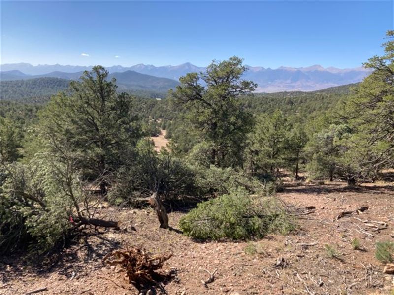 Coyote Run Ranch : Cotopaxi : Fremont County : Colorado