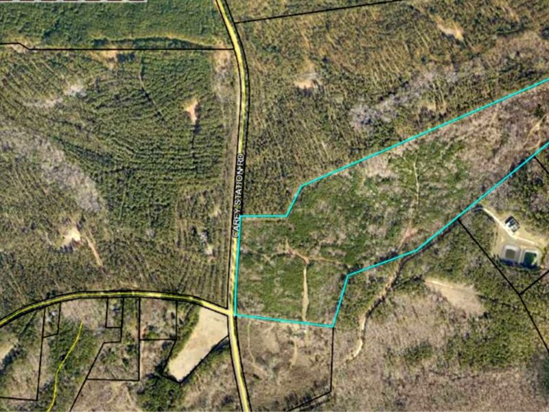 Great Development Opportunity : Greensboro : Greene County : Georgia