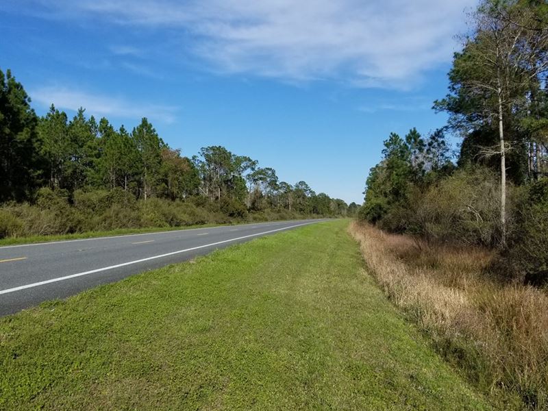 156 Acres of Vacant Land For Sale Ranch for Sale in Mayo, Taylor