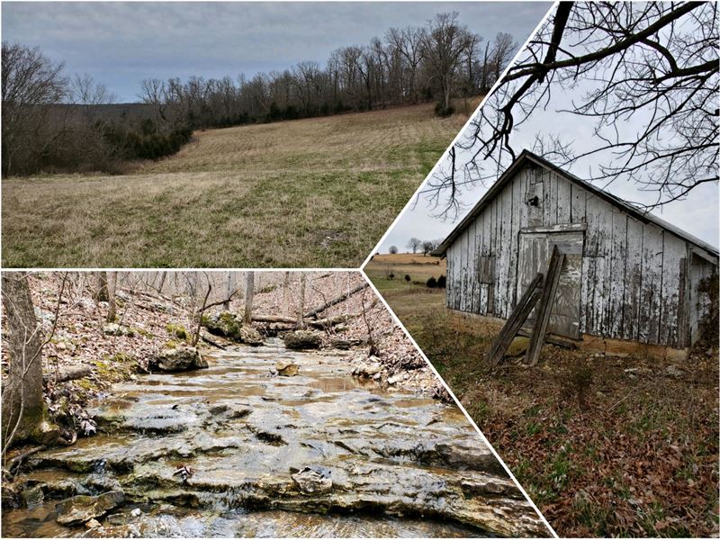 Land for Sale in Ozark County, Ranch for Sale in Missouri, 234098
