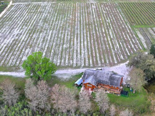 Citrus County Irrigated Farmland : Inverness : Citrus County : Florida