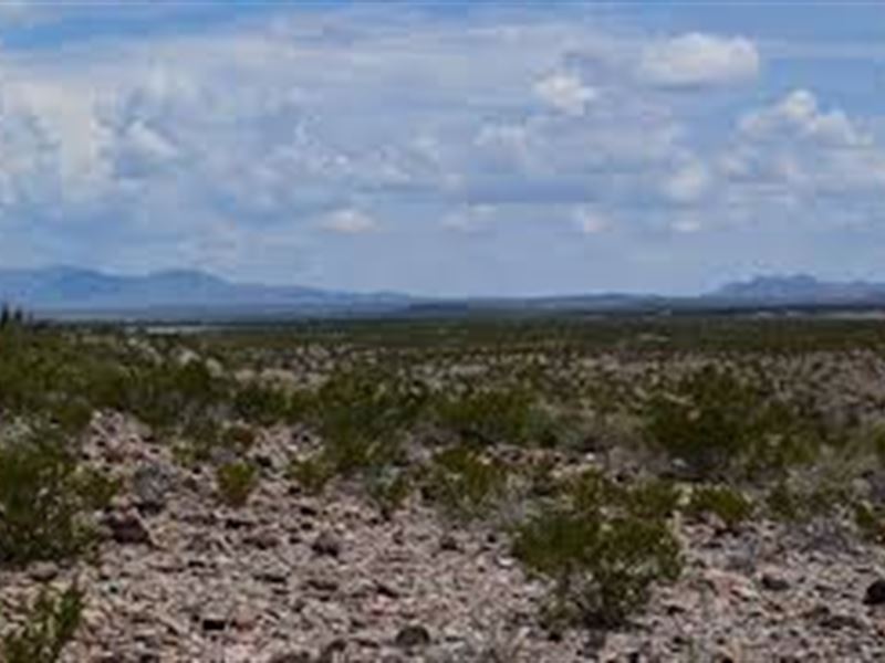 10 Acres Mountain Area Presidio, TX, Ranch for Sale by Owner in Texas