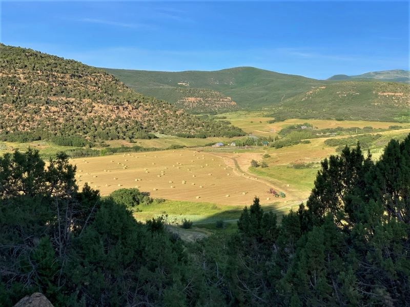 Buck Basin Ranch : Collbran : Mesa County : Colorado