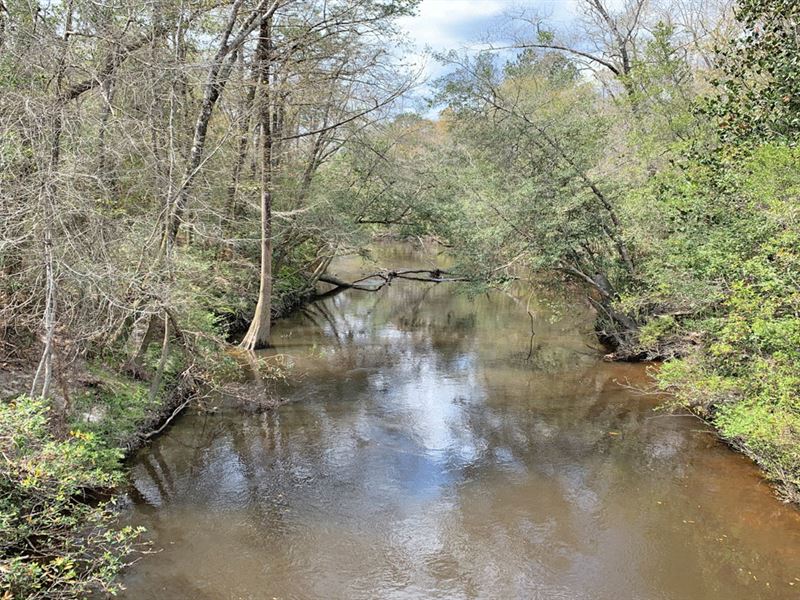 Shoal River Tract : Crestview : Walton County : Florida