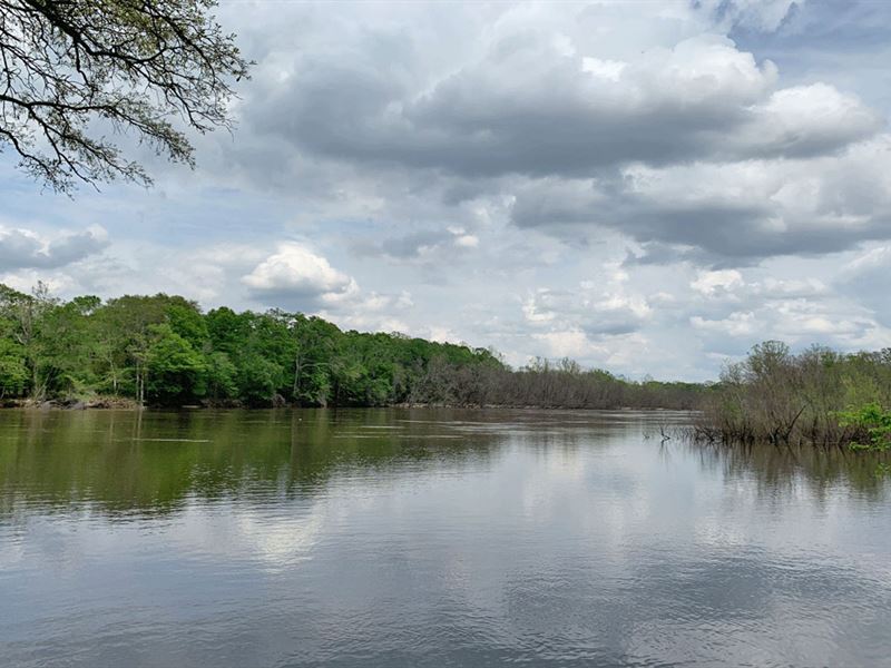 Choctawhatchee River Tract : Caryville : Holmes County : Florida