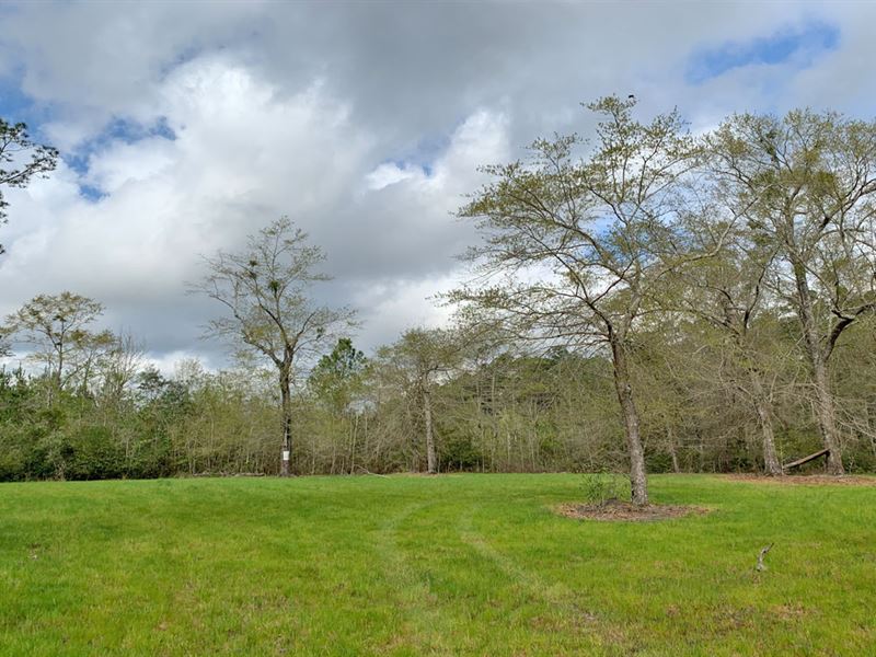 Brickyard Creek Tract : Little River : Baldwin County : Alabama
