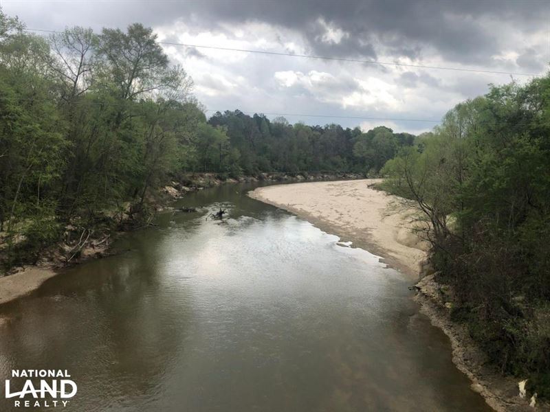 Bayou Pierre Hunting and Timber : Hazlehurst : Copiah County : Mississippi
