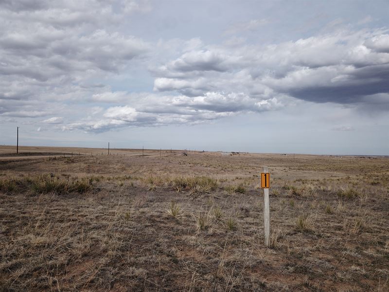 13041 Antelope Pasture Point : Kiowa : Elbert County : Colorado